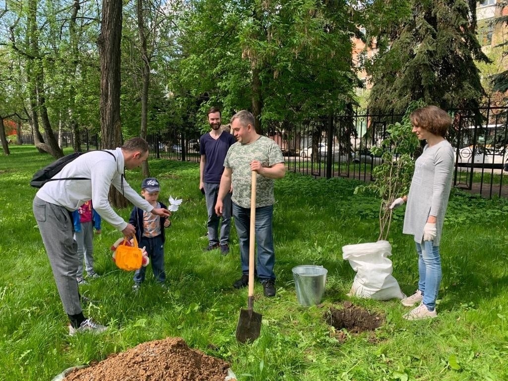 А ты посадил своё дерево?