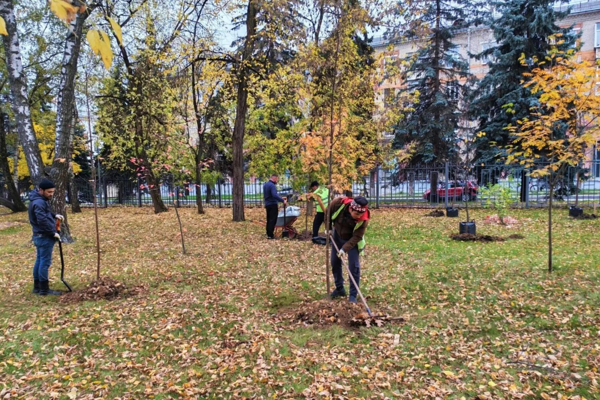 Зелёное обновление